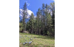 NHN Little Deer Drive, Plains, MT 59859