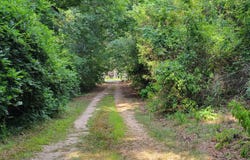 7688 Hamilton, Pine Mountain, GA 31822
