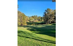 1056 Coogler Crossing Drive, Blythewood, SC 29016