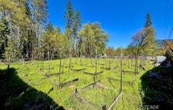 180 Ryan Ln, Hayfork, CA 96041