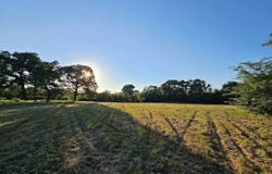County Road 3512, Dike, TX 75437