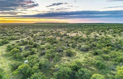 Tbd Fm-1929, Voss, TX 76888