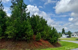 2039 Lake Vista Drive NE unit: 38, Connelly Springs, NC 28612