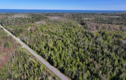V/L 60a E Walker Road, Harrisville, MI 48740