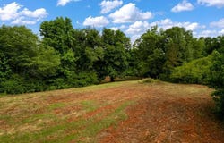 SCOTT Rd, Cordova, AL 35550