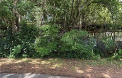 Tbd AVENUE E, MC INTOSH, FL 32664