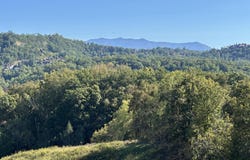 1356 Jayell Rd, Sevierville, TN 37862