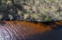 0 S South Flowage Road, Gordon, WI 54890