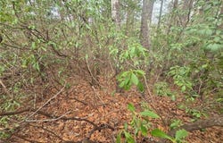 34 Vienna Ring, Helen, GA 30545