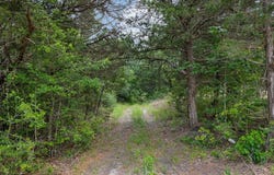 TBD  Farm To Market Road 390 East, Brenham, TX 77833