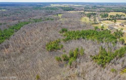 196 Pierce Road, Beech Bluff, TN 38313