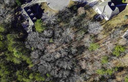 1005 TIMBERLINE TRAIL lot: 17, BIRMINGHAM, AL 35215