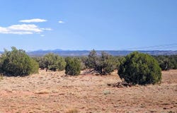 Lot 44 Ranch Of The White Mountains, Concho, AZ 85924