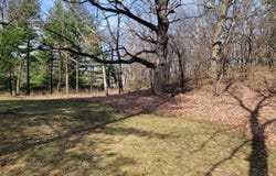 Newbold Road, Cary, IL 60013