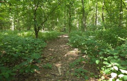 0 Blue Creek Rd, Brookville, IN 47012