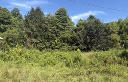 5739 Morgan Co Hwy, Lancing, TN 37770