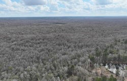 1041 Freedom Rd, Century, FL 32535
