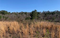2 MOUNTAINSIDE Drive, West Blocton, AL 35184