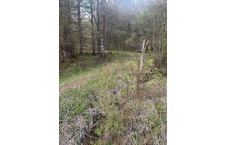 Bramley Mountain Road, Stamford, NY 12167