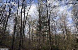 PADUA, SPERRYVILLE, VA 22740