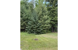 741 Manning Lane, East Tawas, MI 48730