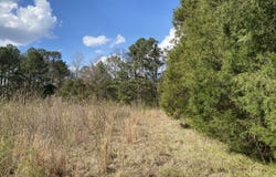 0 Highway 25, Vincent, AL 35178