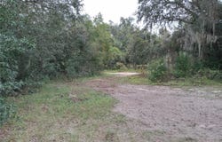 SHEELER OAKS DRIVE, APOPKA, FL 32703