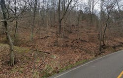 Toler Creek Road, Harold, KY 41635