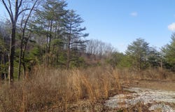 6-7 Freeman Branch Road, East Bernstadt, KY 40729