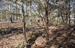 001 TBD Versailles  DR, Bull Shoals, AR 72619
