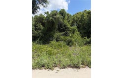 PALMETTO CIRCLE, PAISLEY, FL 32767