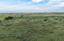 E 1890 Rd, Grandfield, OK 73546