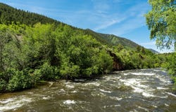 54 Spruce Road, Basalt, CO 81621