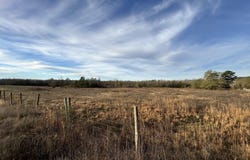 Polk Road 178, Mena, AR 71953