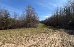 660 Brooks, Sandersville, GA 31082