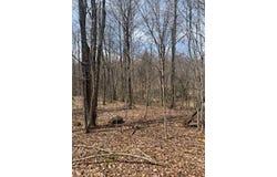 192 Wiley Road, North Bangor, NY 12966