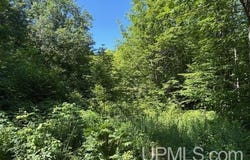 TBD Sartoris, Bessemer, MI 49911
