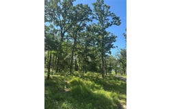 14192 Ridge Lane, Malakoff, TX 75148