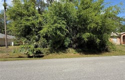 19 WASSERMAN DRIVE, PALM COAST, FL 32164