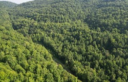 0 Sawmill Hollow RD, Williamsburg, KY 40769