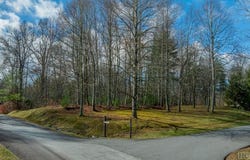 Lot 246 Audubon Trail, Cashiers, NC 28717