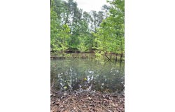 Tbd County Road 3206, Mount Enterprise, TX 75681