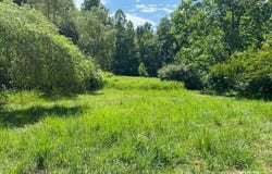 1232 Left Fork Joels Branch Road, Genoa, WV 25517