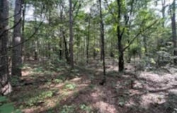 0 Truman Reynolds Road, Quitman, AR 72131