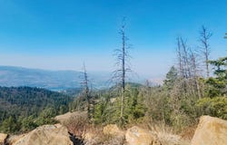 TBD GOLD HILL LOT C RD, KETTLE FALLS, WA 99141