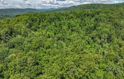 Shingle Gap Road, Purlear, NC 28665