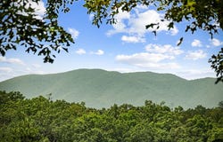 364 Bice Lane, Blue Ridge, GA 30513