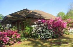 715 E Chappell, Griffin, GA 30223