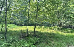 Private Dr 2C, Henryville, PA 18332