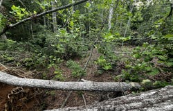 0 Mount Allen Heights, Black Mountain, NC 28711